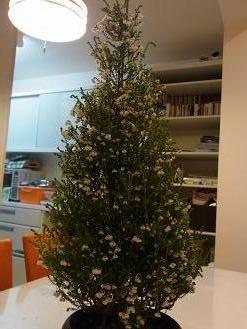 christmas-erika.jpg